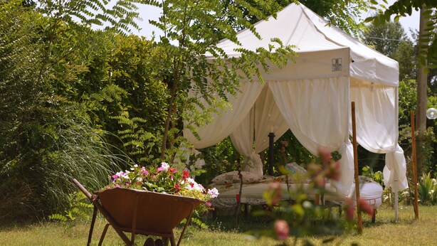 A tent with a canopy, surrounded by greenery and a wheelbarrow with flowers. - House in Tuscany immersed in greenery  (Foiano della Chiana)