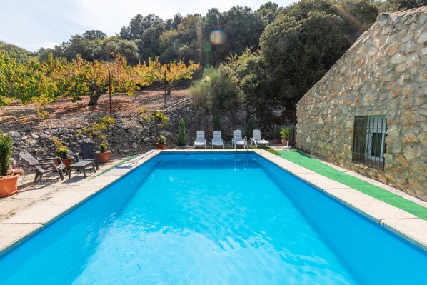 Pool - Jurinea house with private pool (TORRES)