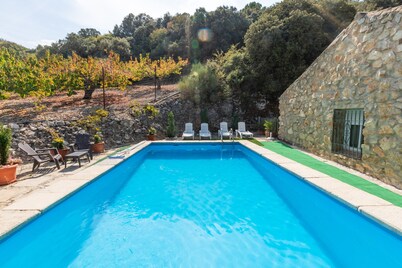 Jurinea house with private pool