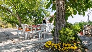 Un área de estar al aire libre con una mesa y sillas, rodeada de árboles y un pequeño jardín.