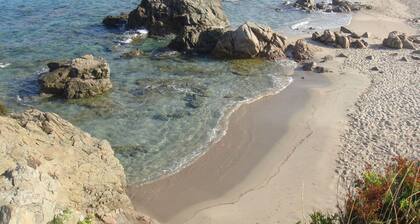 Villa stazzu rural Le Liccia, l'hospitalitĂ© et le bien-ĂȘtre