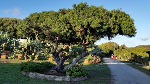 Áreas de la propiedad