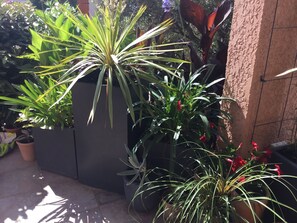 Áreas de la propiedad