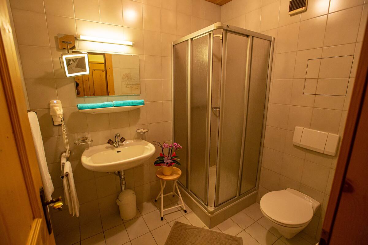 Une salle de bain avec un lavabo, des toilettes et une douche.