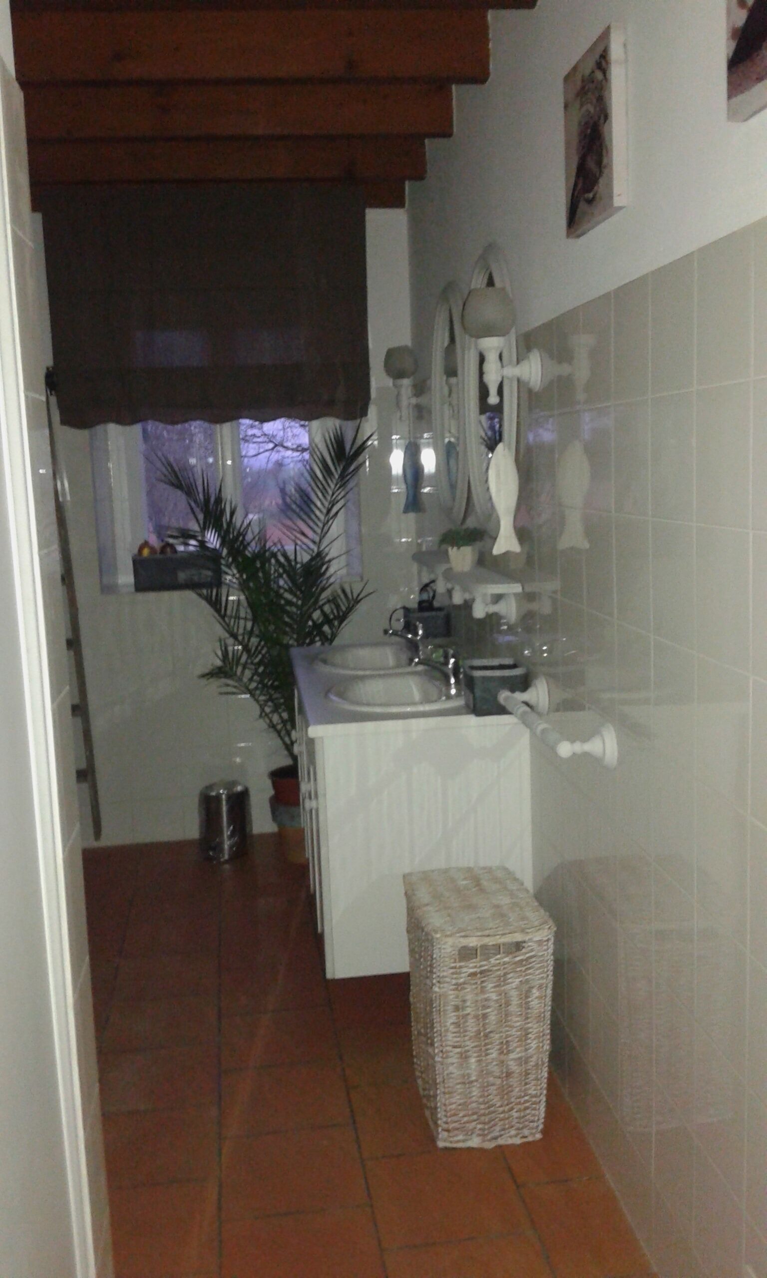 A narrow hallway with a sink, mirror, and potted plants.