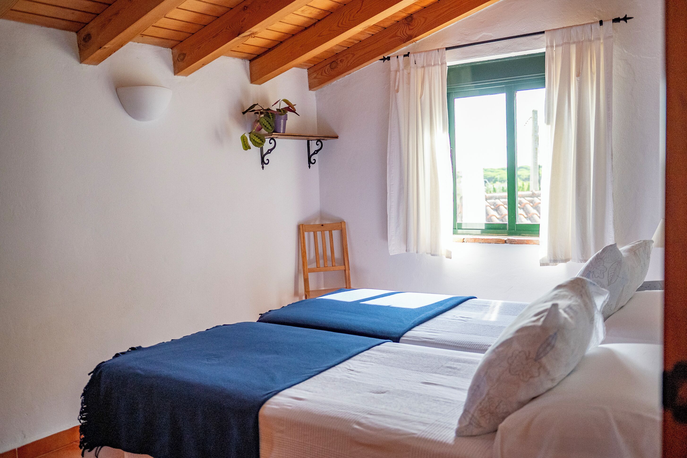 Un dormitorio con dos camas, techo de madera, una ventana con cortinas y un estante pequeño con plantas.