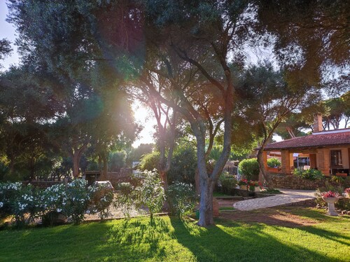 Maison Maximón. Appartement vert