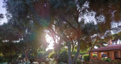 Rural house Maximón. Blue apartment Relax and nature!