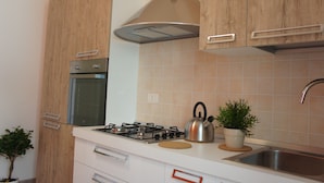 Une cuisine moderne équipée d’une cuisinière à gaz, d’un évier en acier inoxydable et de meubles en bois.