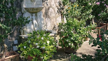 Área da propriedade