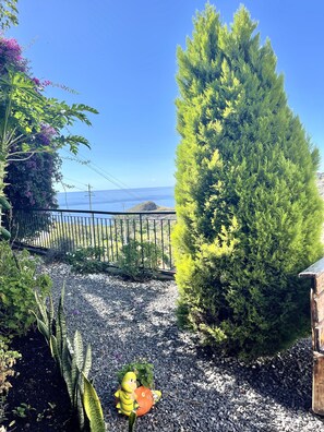 Terrain de l’hébergement 
