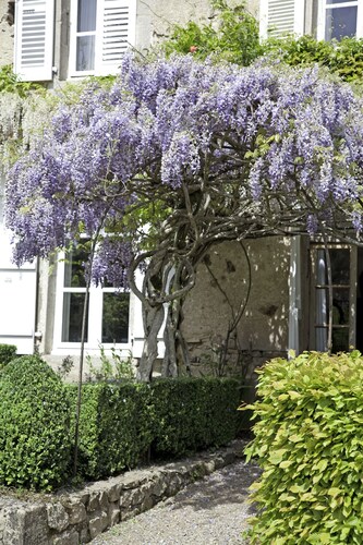 Charmante Gites de Charme L'Ancien Presbytère Larochemillay, Frankreich