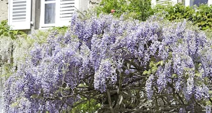 Charmante Gites de Charme L'Ancien PresbytĂšre Larochemillay, Frankreich
