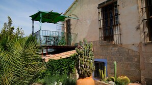 Une cour avec un parasol vert, un cactus et un toit recouvert de tuiles.