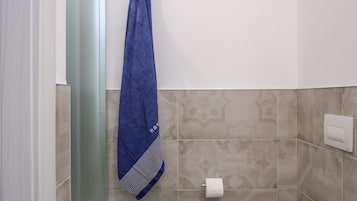 Regadera, secadora de cabello, bidet, toallas