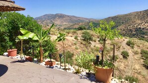 未分类图片，第 4 张，共 31 张，按钮