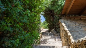 Una escalera de piedra que sube hacia una estructura con techo de madera, rodeada de abundante vegetación.