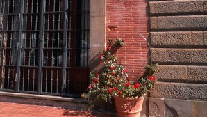 Ein Gebäude mit einem großen, rundbogenförmigen Fenster mit Metallgitterstäben, einer Ziegelwand und einem Blumentopf mit roten Blüten.