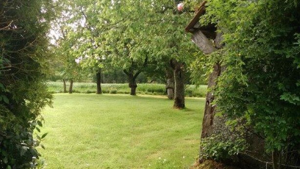 A grassy area with trees and a stone wall. - Very quiet family holiday home (Isigny-le-Buat)