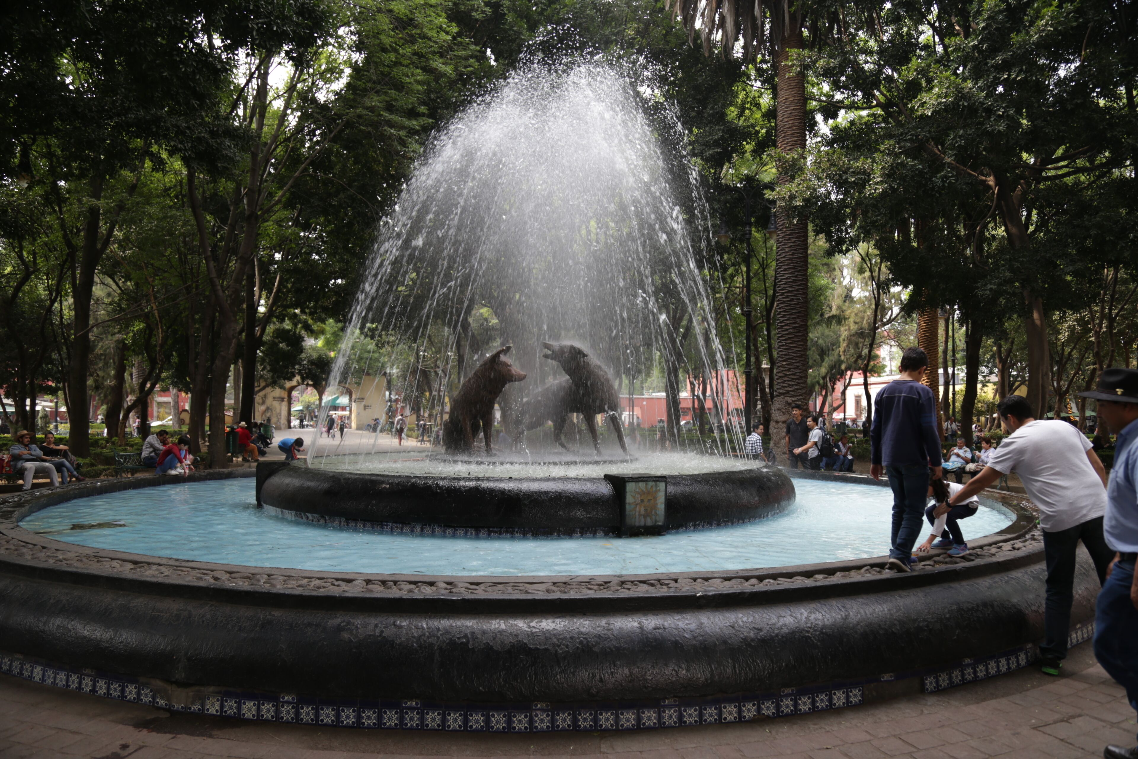 Foto - Finca Coyoacán