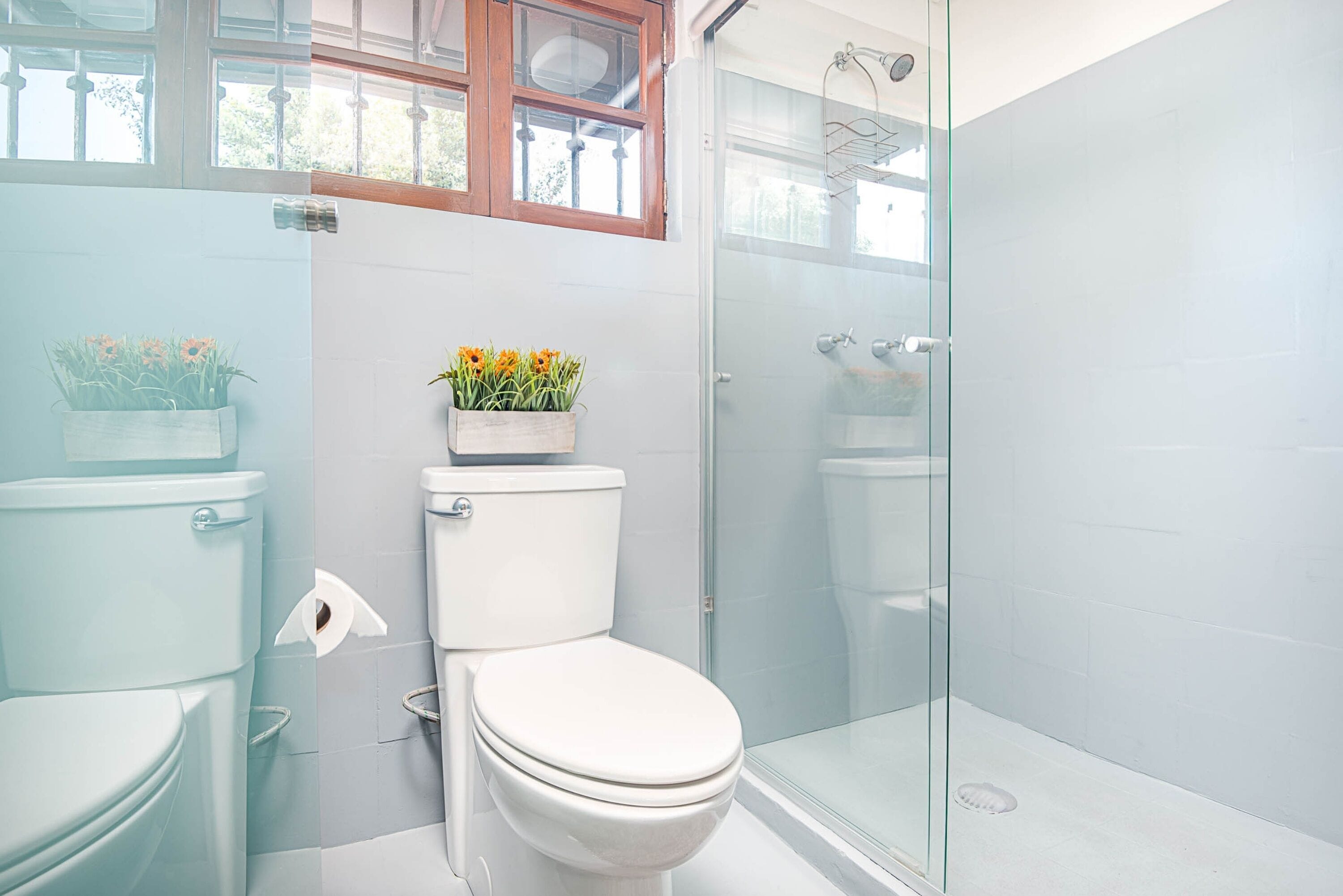 Foto - Finca Coyoacán