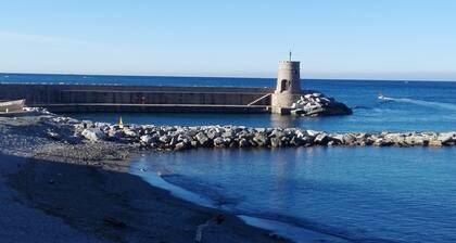 ALESSIA-TALO VIHREÄLLÄ PARKISSA JA WIFI-SEN