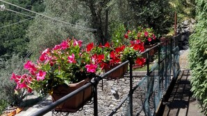 A stone wall with a metal railing and potted plants with red flowers.
