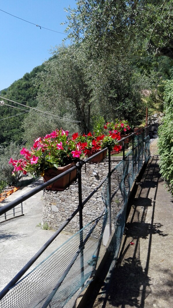 A stone wall with a metal railing and potted plants with red flowers.