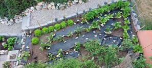 Property grounds - "Ma Se Ghe think" Apartment 2 Near Sestri Levante - Portofino - 5 Terre (Castiglione Chiavarese - Sestri Levante)