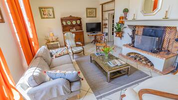 Smart TV, lareira, DVD player, livros