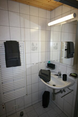 Shower, hair dryer, soap, toilet paper - Detached chalet Valais, Switzerland, Valais, Fiesch (Fiesch)