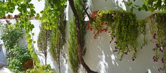 LOGEMENT RURAL DE CHARME DANS LE PARC NATUREL DE LA SIERRA DE SEGURA - CAZORLA