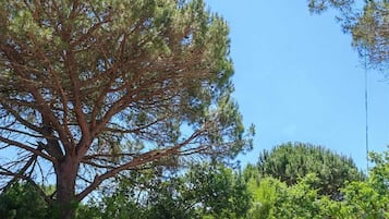 Overnatningsstedets område