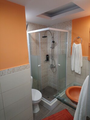 Ensemble douche/baignoire, sèche-cheveux, serviettes fournies, savon