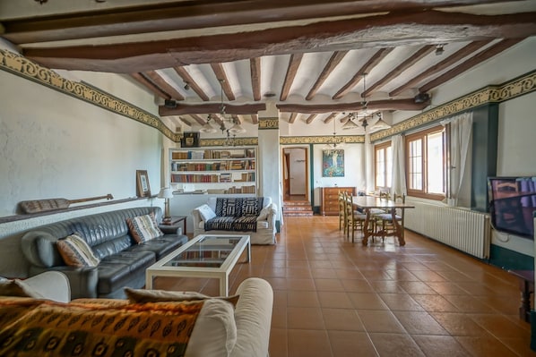 TV, fireplace, DVD player, books