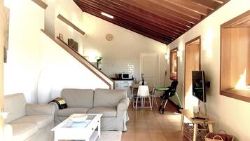 Een smart-tv, een open haard en boeken