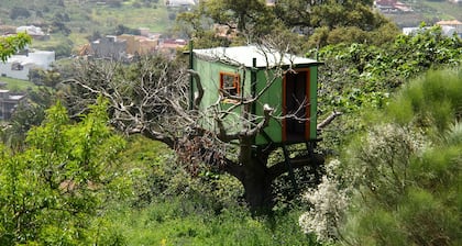 Notre nouvelle grange. Unique à Tenerife. Logement dans une réserve naturelle