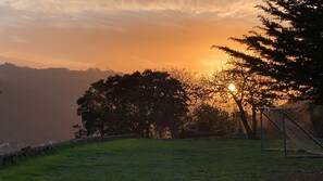 Un espacio verde con árboles y un arco de fútbol.