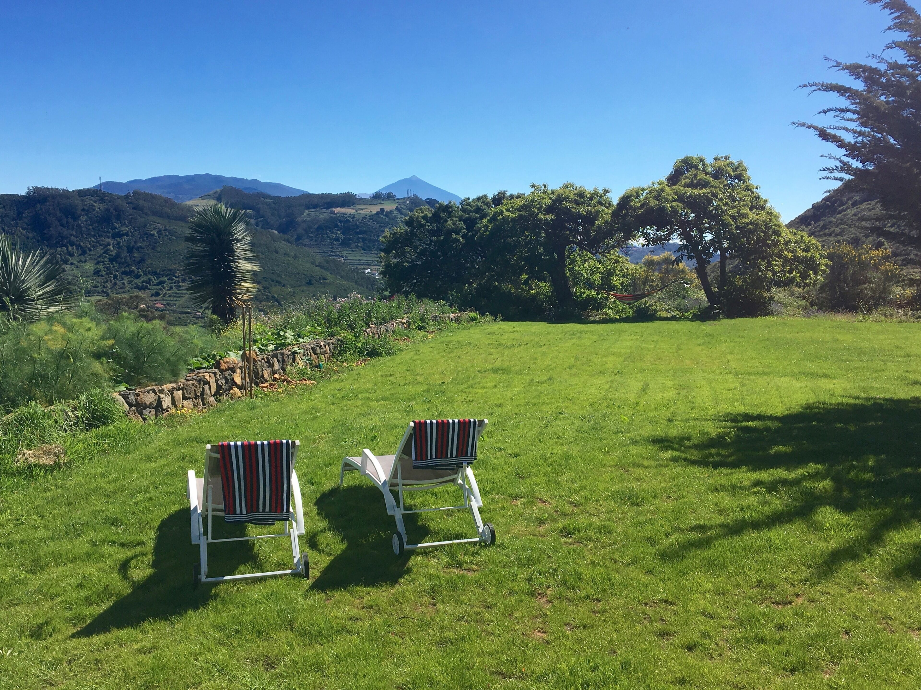 Two white lawn chairs with red and white striped cushions facing a grassy field with a stone wall and trees.