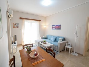 TV, fireplace, DVD player, books