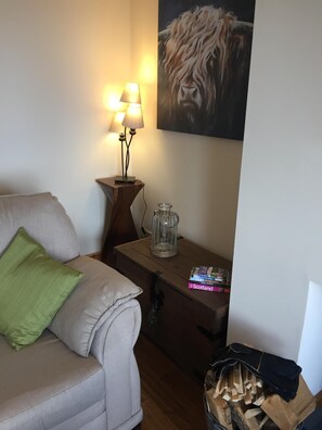 TV, fireplace, DVD player, books