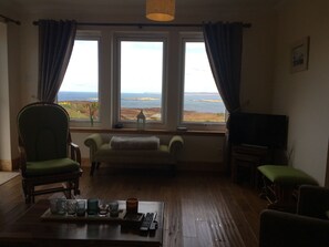 Televisie, een open haard, een dvd-speler en boeken