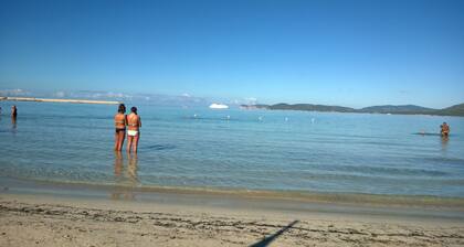 Cozy and spacious apartment