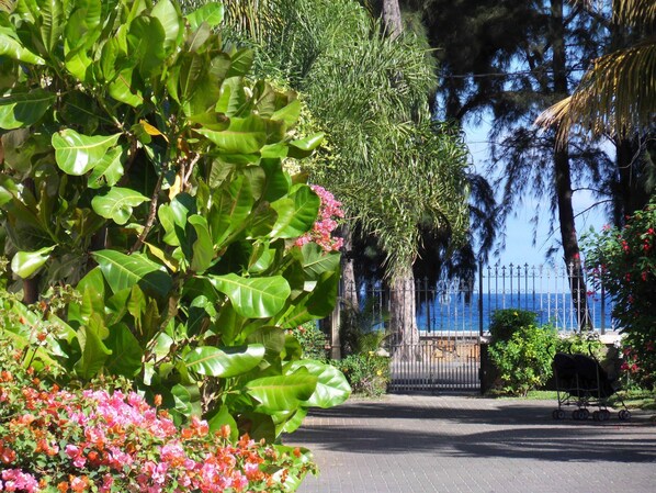 Property grounds - Tilacaze Bungalow (01) (Flic en Flac)