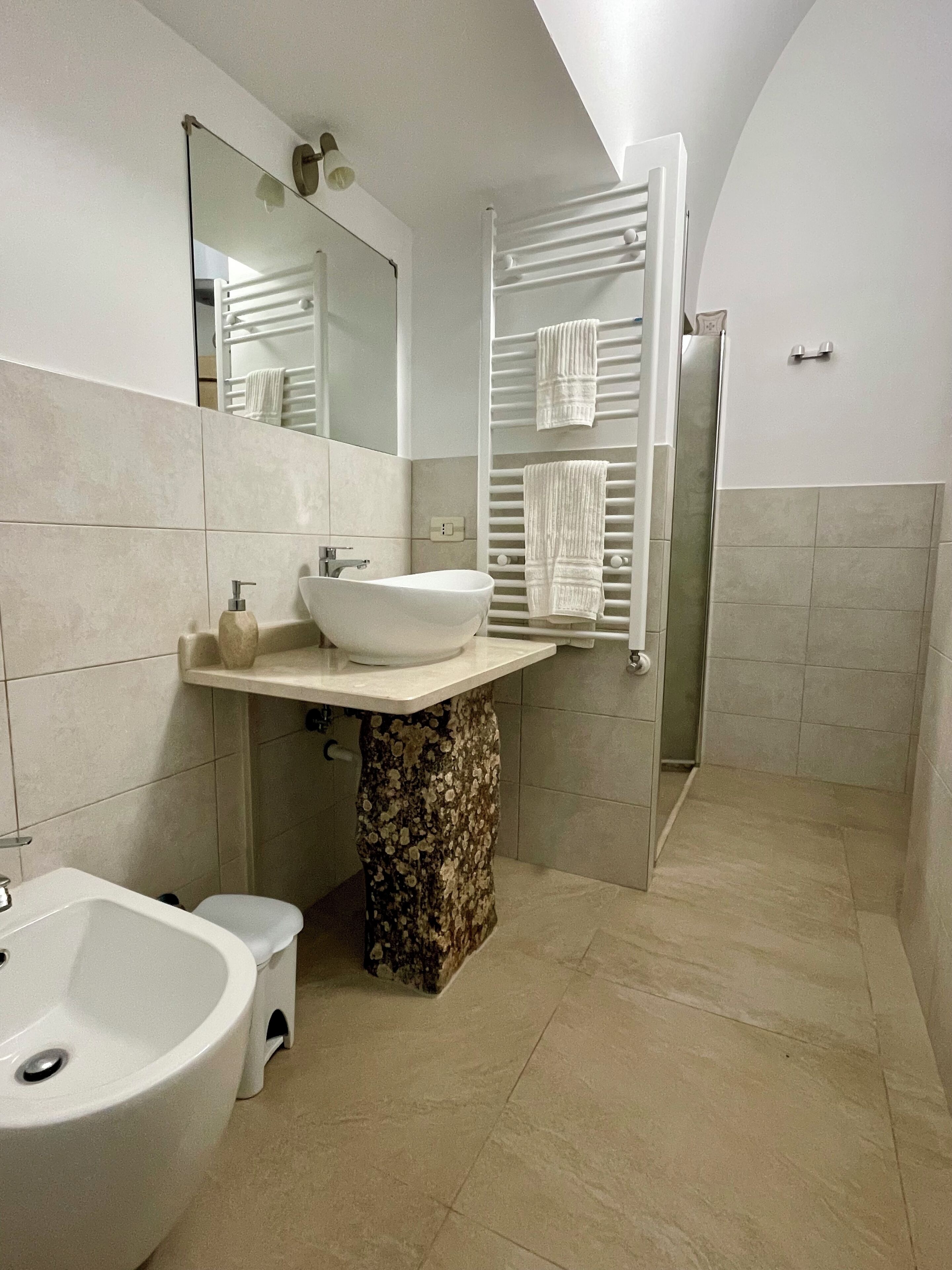 Combined shower/tub, hair dryer, bidet, towels