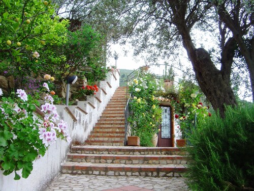 Sicilian villa nestled in a private olive grove near the Nebrodi Park