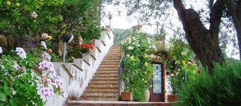 Sicilian villa nestled in a private olive grove near the Nebrodi Park