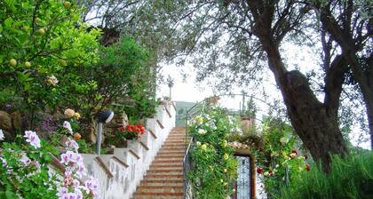 Sicilian villa nestled in a private olive grove near the Nebrodi Park