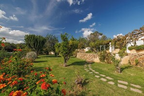 A garden with a stone wall, a pathway, and various plants.