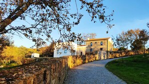 A cobblestone pathway leading to a stone building with a white facade and multiple windows.